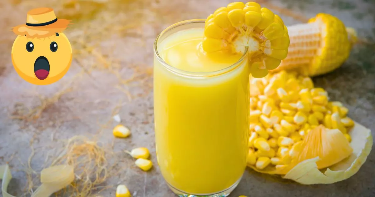 Suco de milho cremoso servido em um copo