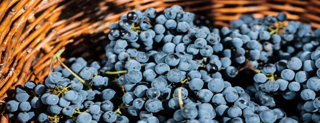 Uvas - Freepik