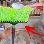 Por Que As Pessoas Estão Colocando Sal Na Vassoura?