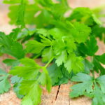 Como Plantar Salsa E Ter Uma Horta Sempre Fresca
