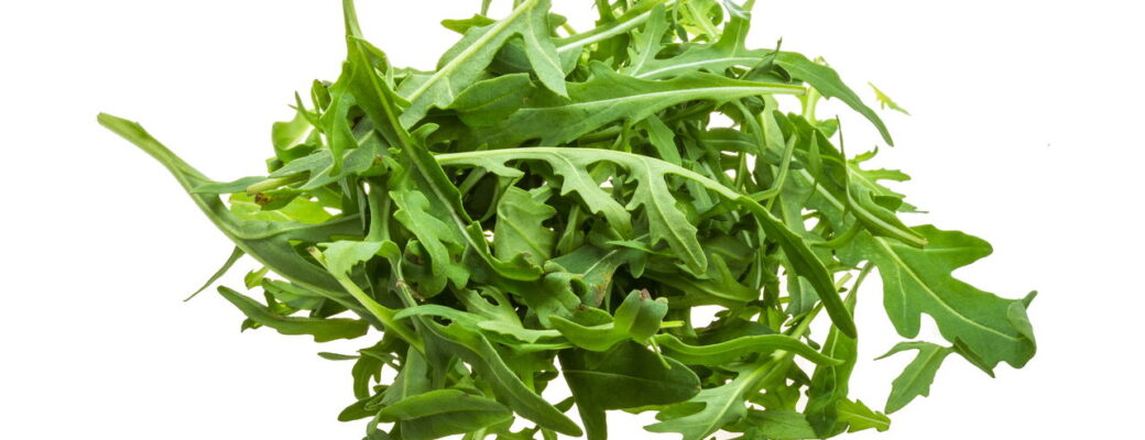 Como Cultivar Rúcula E Garantir Produção Contínua Em Casa