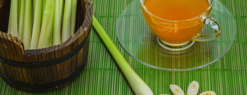 Como Preparar Chá De Capim-Santo Sem Perder O Sabor Natural
