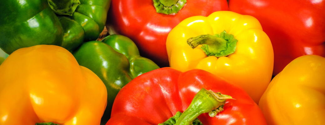 Como Plantar Pimentão E Ter Uma Colheita Sempre Farta