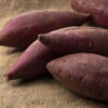 Dicas Práticas Para Plantar Batata Doce E Garantir Uma Colheita Farta