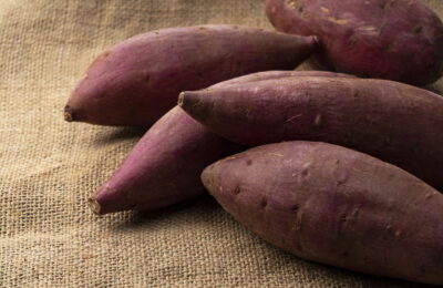 Dicas Práticas Para Plantar Batata Doce E Garantir Uma Colheita Farta