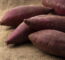 Dicas Práticas Para Plantar Batata Doce E Garantir Uma Colheita Farta