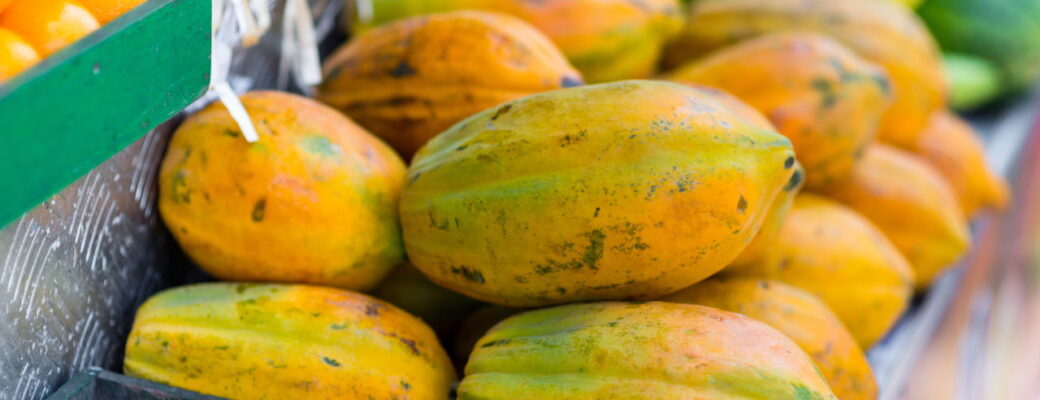 Como Plantar Mamão Em Casa E Garantir Frutas O Ano Todo