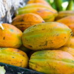 Como Plantar Mamão Em Casa E Garantir Frutas O Ano Todo