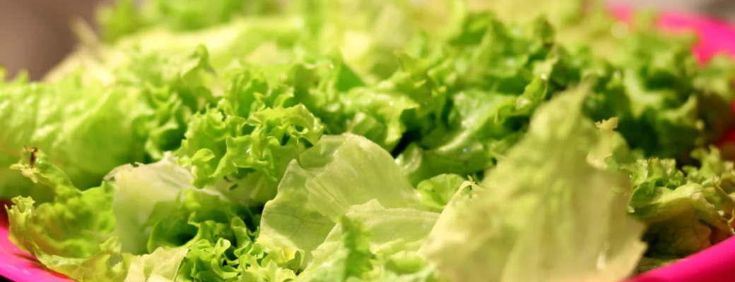 Aprenda A Higienizar E Armazenar Alface E Outras Verduras Corretamente Para Evitar Desperdícios!...