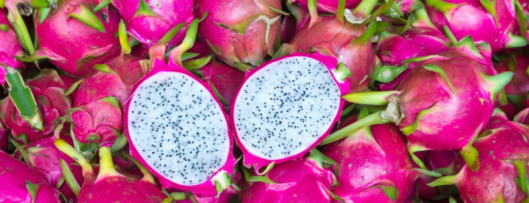 Plantar Pitaya - Créditos: Depositphotos.com / Markuso