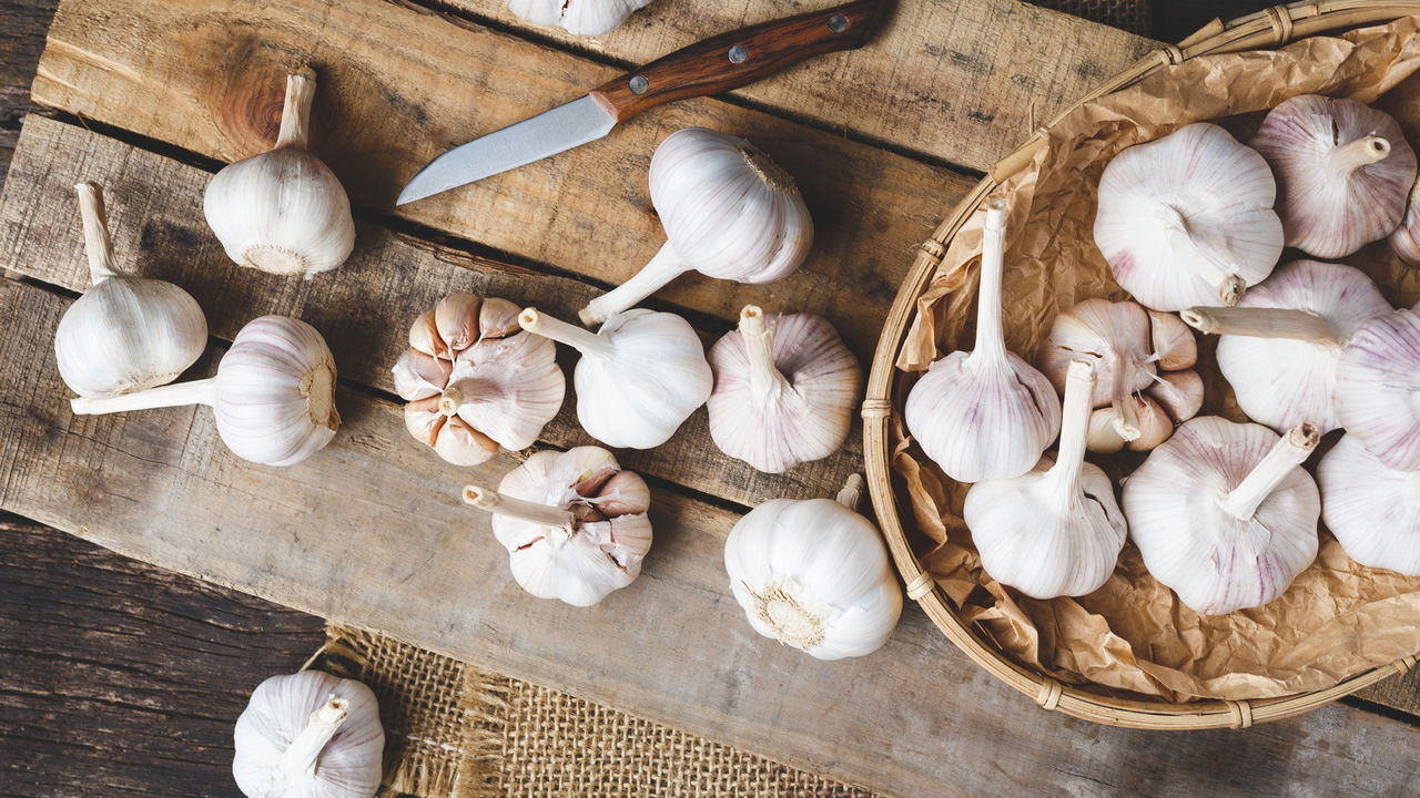 Dicas Práticas para Plantar Alho em Casa e Garantir uma Colheita Perfeita
