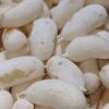 Biscoito De Polvilho Crocante Fácil De Fazer