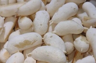 Biscoito De Polvilho Crocante Fácil De Fazer