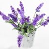 Cheirinho Deliciosa De Lavanda Veja Como Plantar Em Casa