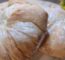 Pão Caseiro Macio Crocante Com Segredo Usa Celofane Para Assar, Deixando A Casca Perfeita E...