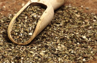 Como Plantar Orégano E Ter Um Temperinho Sempre Fresco