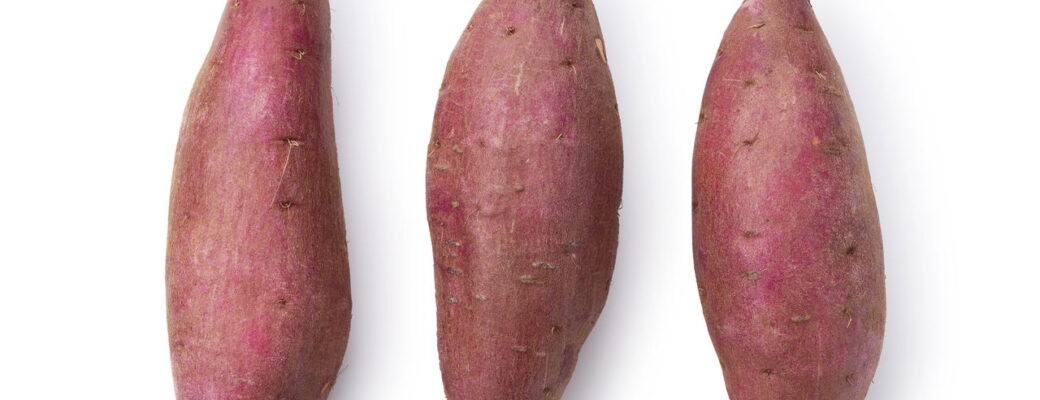 O Segredo Para Plantar Batata Doce E Ter Raízes Sempre Grandes
