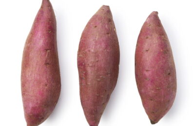 O Segredo Para Plantar Batata Doce E Ter Raízes Sempre Grandes